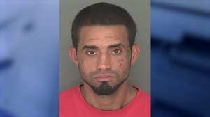 Florida man hides in McDonald's trash compactor after fleeing traffic stop: deputies