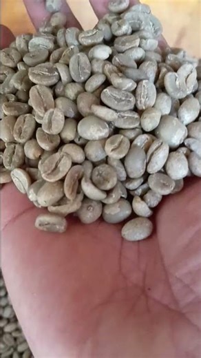 coffee huller process before roasting and powder