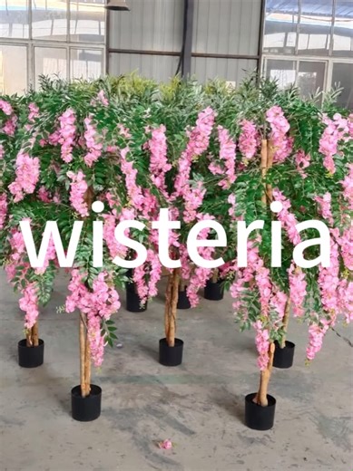 These are the products produced by our factory, such as purple vine, kauri tree, banana, etc. #fauxplants #hoteldesign #blooming #ArtificialTree #fyp
