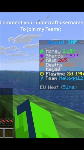 Write your Minecraft username to join my team(; Donut.smp
