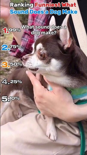 Ranking Funniest What Sound Does a Dog Make