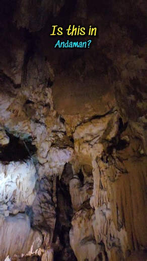 Limestone Cave Baratang 🌴| Hidden Wonder of Andaman #andaman #limestonecave #baratang #shorts
