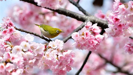 The spring equinox is here. What does that mean?