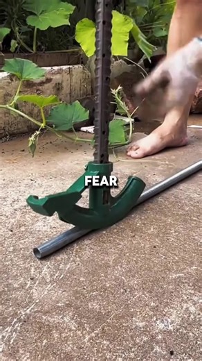 Part 2 #reddit #Reddit #Reddit #redditstories #redditreadings #fypage #text