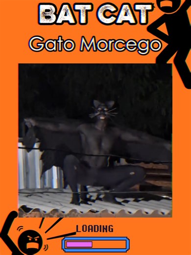 Bat Cat Eu sou o Flick. Bem-vindo ao canal onde animações quadro a quadro ganham vida no modo analógico — de um jeito que pode te assustar… ou simplesmente te fazer sorrir. Aqui você vai encontrar histórias visuais únicas, cenas estranhas, suspense, humor e muita criatividade em cada frame. Siga nosso perfil e embarque nesse universo comigo. #analoguehorror #animacão #historiadeterror #flickmental #horrorstory #animação