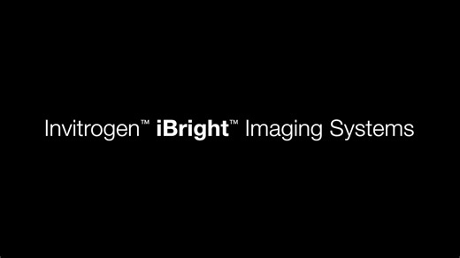 Invitrogen iBright Imaging Systems