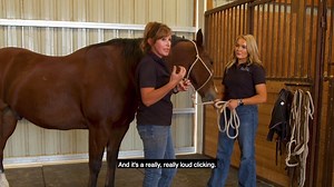 𝐄𝐲𝐞 𝐓𝐚𝐩𝐩𝐢𝐧𝐠 𝐟𝐨𝐫 𝐇𝐨𝐫𝐬𝐞𝐬 File this one under “there’s always something new to learn about horses.” But really, watch this video and try it on your own horse! (Yes we tried it and yes it works!) Watch more bodywork videos with Equine BalanceWork at EQUUS Prime. Sign up for a free 7-day trial today. ➜ bit.ly/EQUUSPrime_EQUUS | Equus Magazine
