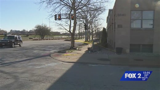 Man killed after vehicle strikes tree in St. Louis