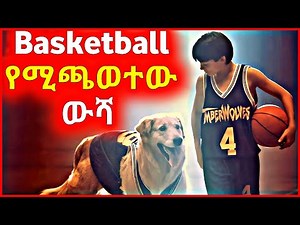 🔴 Basketball የሚጫወተው ውሻ