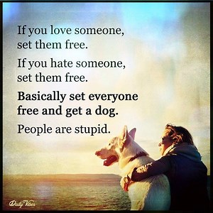 3.8M views · 33K reactions | ;) <3 | Daily Vibes | Facebook