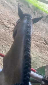 38 reactions · 5 comments | I finally did it!!! I’ve been working on...