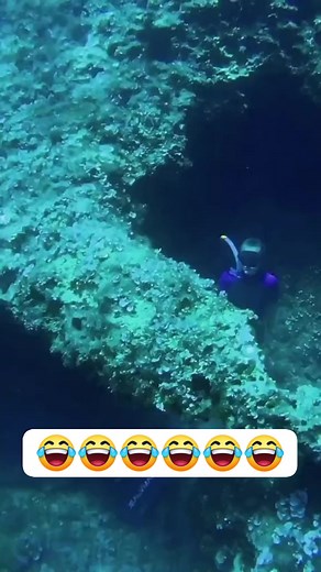 need concentration #funny #underwater #freedive | Katu Spearo Helong