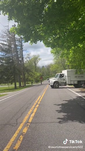 Osorio tree service llc on TikTok