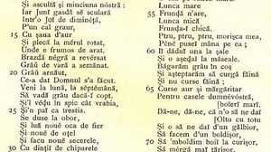 Pluguşorul la 1900. “Să îmboldim boii la curişor, să meargă mai tărişor!”