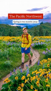 Are you ready for wildflower season?! ✨🌼 🌻 The Columbia River Gorge near Portland, Oregon and Vancouver, Washington is one of the best places to see fields of wildflowers in the Pacific Northwest! Wildflowers usually bloom throughout April! 🌸 🧡 COMMENT “flower guide” for our FREE guide to the best wildflower hikes near Portland, Oregon and Vancouver, Washington! ⚠️ Please remember to LEAVE NO TRACE and only hike on established hiking trails. Avoid stepping on and trampling the flowers in ord
