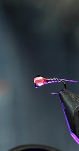 21K views · 274 reactions | Get out and Smack some fish with the ASB Smacker! #flyfishfood #flytying #flyfishing #stillwater #riverfishing | Fly Fish Food | Facebook