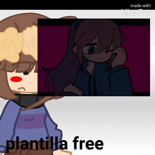 Cuentas recomendadas