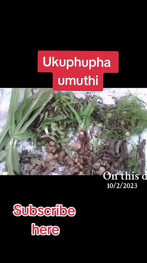 Lynda Carter Umuthi Wokuvula Amaphupho: Unveiling the Meaning of Dreams