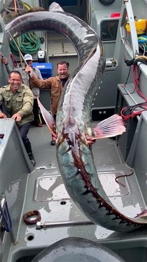 is this real? #fishing