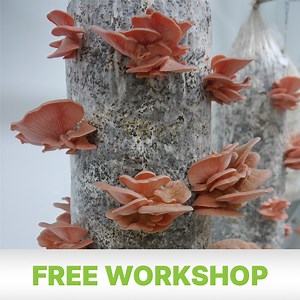 15K views · 572 reactions | Are you interested in learning how to...