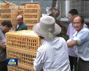 县委书记风采——戴建平：不把“硬骨头”留给下一任