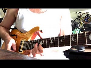 PRS SE Semi Hollow