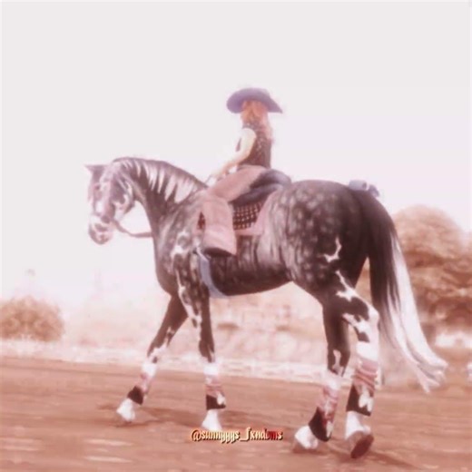 guys tomorrow is the last day of 2025 🥹 | Star Stable Online |