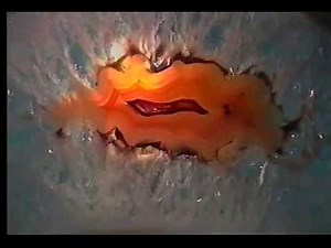 Basics of Geology All About Rocks and Minerals ✪ Earth Science Channel HD