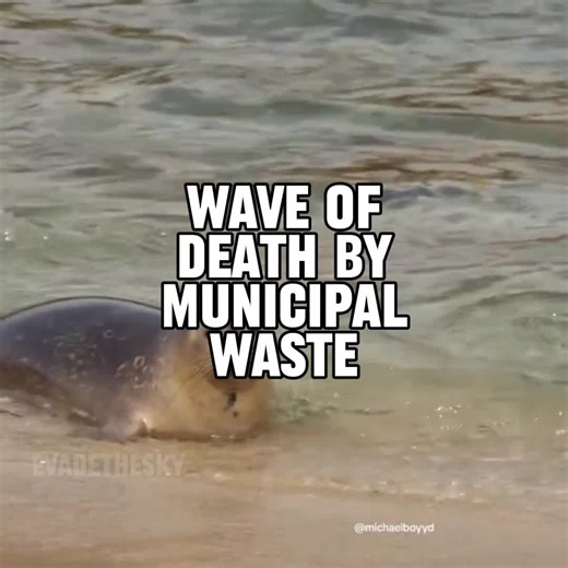 Wave of Death Music Video by Municipal Waste