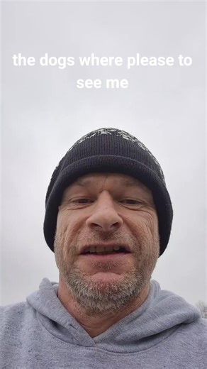 Dogs Enjoying Football: A Heartwarming Encounter