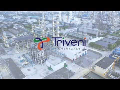 Triethylene Glycol Dimethacrylate