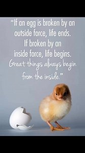 6.6K views · 235 reactions | Little Bit Wildlife Rescue on Reels | Facebook