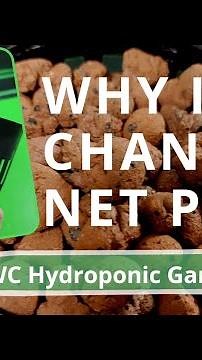 Net Pots in Hydroponic Garden - Here's Why I changed the Style of the Net Pots I Use