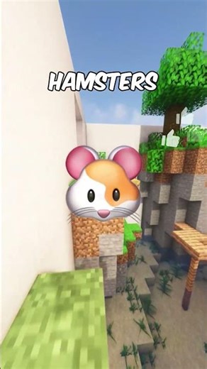 How Different Animals SeeThe World 3