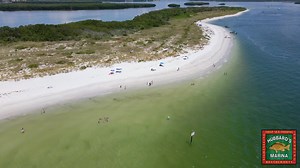 This Christmas break consider a trip with us to Shell Key Island! Whether you depart from John's Pass or Ft Desoto, our boats are ready to take you on a fun filled adventure! Listen to First Mate Braelyn as she explains a little bit more about the trip! #shellkey #thingstodo #tampabay #johnspass #stillshinning | Hubbard's Marina
