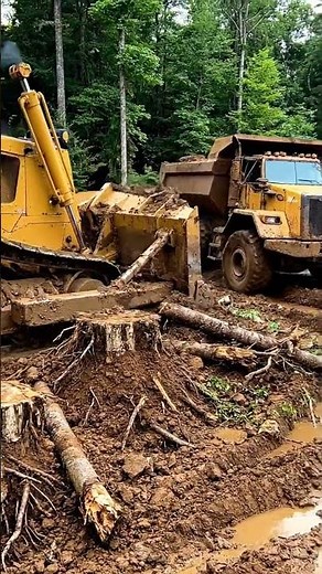 Extreme Bulldozer Clears MASSIVE Stump! 🚜