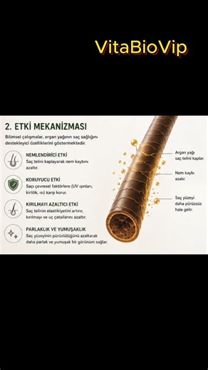 Argan yağı gerçekten saç uzatır mı, yoksa sadece bir efsane mi?