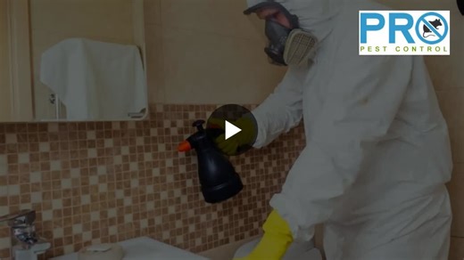 #commercialpestcontrol #northbridgebusiness #perthhospitality #pestmanagement #propestcontrol #foodsafety #workplacesafety #ecofriendlypestcontrol | Pro Pest Control Perth