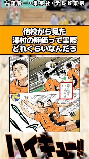 他校から見た澤村の評価って実際どれくらいなんだろ #ハイキュー反応集 #ハイキュー #shorts