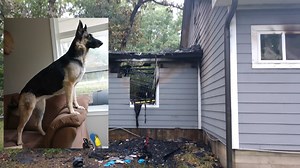 Heroic dog saves sleeping deputy constable from house fire