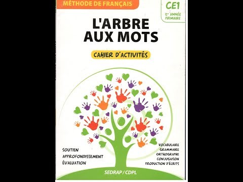 Correction des exercices des vacances CE1 grammaire et orthographe