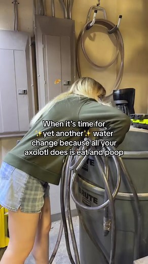 We do all of our water changes out of love 💙 🧡 . . . #aquarium #fishtank #aquascaping #aquariumhobby #aquariumsofinstagram #waterchange #axolotl #adamsspecialtyproducts #customaquariums | Custom Aquariums