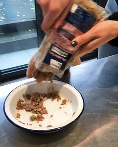 3.3K reactions · 185 shares | Mealtimes filled with Butternut Box set your pooch’s tail to wag. Fetch 25% off your first two boxes of Butternut Box: Butternutbox.com/WagsForDays25OFF2 Just don’t mention the postman. | Butternut Box | Facebook