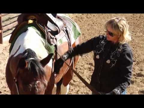 What is the Proper Way to Cinch a Saddle?