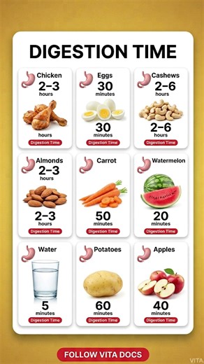 Digestion Time of Common Foods | How Long Does Your Meal Stay?