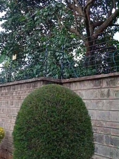 Enhance Security with Wall Top Razor Wire Fencing in Kenya