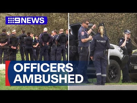 Two officers killed and one injured in a shooting in Porepunkah | 9 News Australia