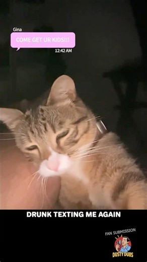 Drunk Cat Texting 🍻📱