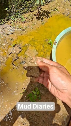 Clothespin in Mud #shorts #mudplay