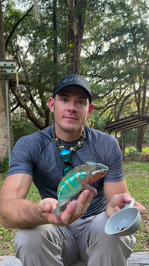 110K views · 7.6K reactions | A little update from Rex the panther...